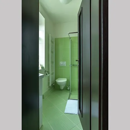Cajkovskij Apartments Brno Room photo